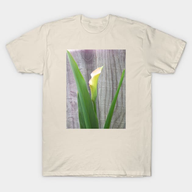 Beautiful Single Calla Lily T-Shirt by HutzcraftDesigns